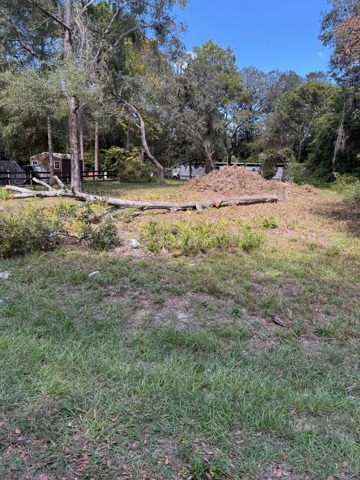 Land opportunity in Ocala with mature trees